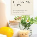 The Little Book of Cleaning Tips: A Guide to Keeping Your Space, Healthy, Tidy, & Calm