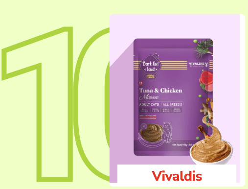 Frame_1410083214_e2fb4980-5247-4777-9f56-72592dd72217_800x