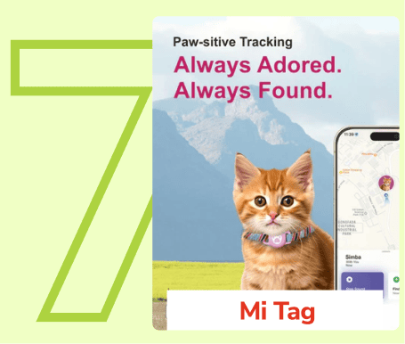 Frame_1410083215_ad65493f-9d94-4d79-b544-34046649f1bf_800x