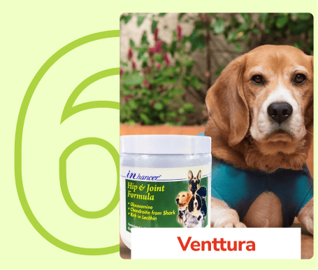 Frame_1410083216_2b6fdf5a-77e0-4351-981b-dc0420585e16_800x