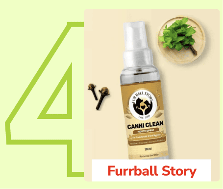 Frame_1410083217_33f9bdb3-6297-499b-8f5c-c00779cd89d4_800x