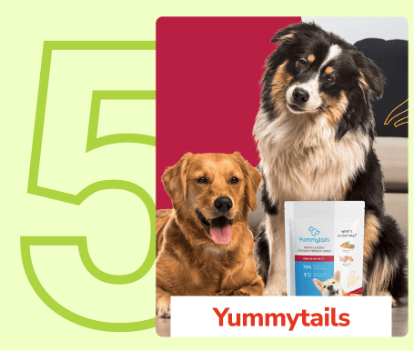 Frame_1410083219_44f2fb88-ed97-4de3-a30f-6c446cfc3626_800x