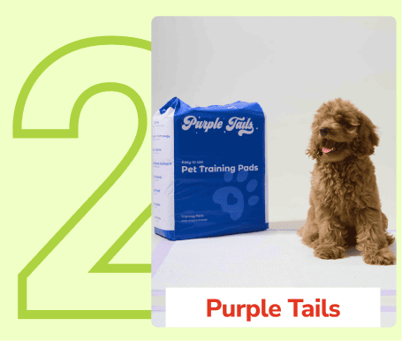 Frame_1410083221_8f8107f6-6a64-4dae-9fc1-36513fb2bf1a_800x