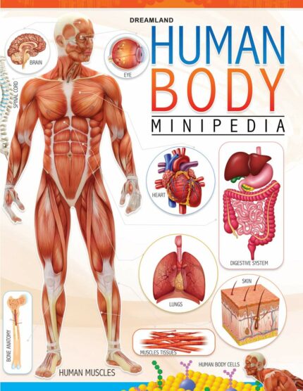 Human Body Minipedia for Kids Age 5-15 years