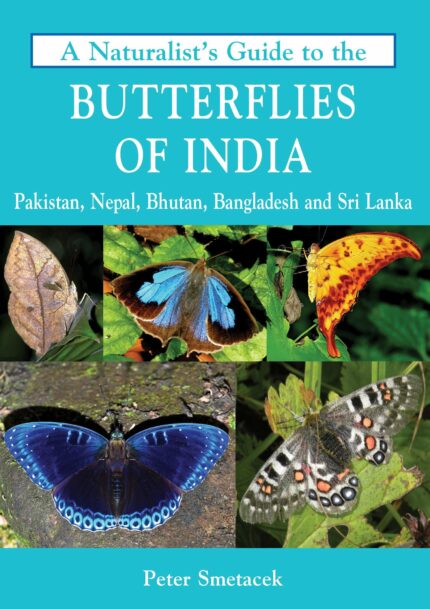 A Naturalist’s Guide to the Butterflies of India